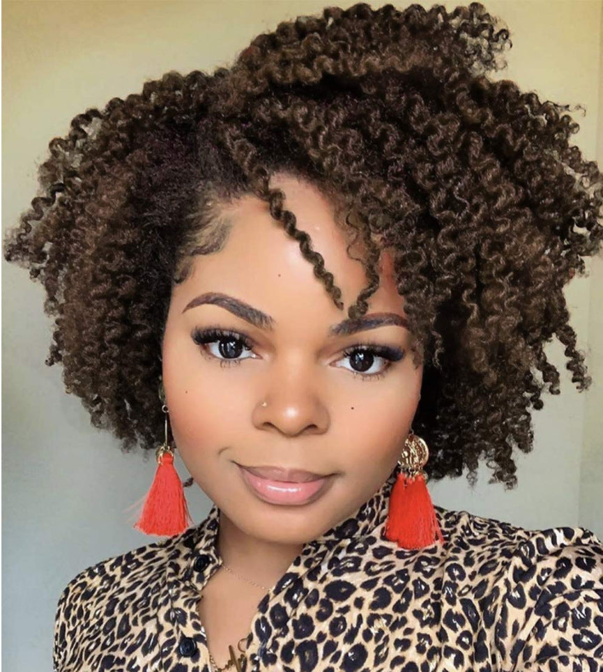 Natural African Small Curly Wig – Short Curly Hair Headgear